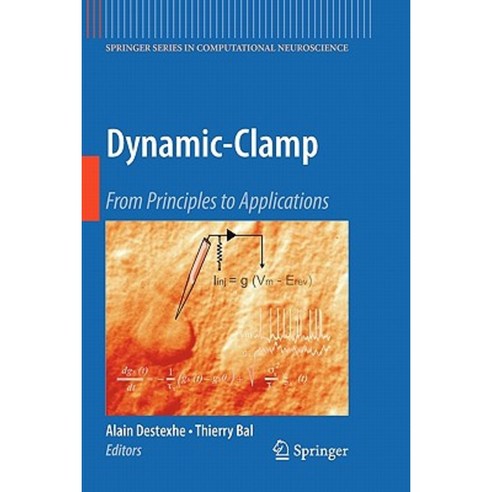 Dynamic-Clamp: From Principles to Applications Paperback, Springer