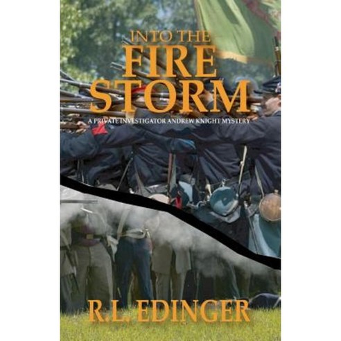 Into the Fire Storm: A Private Investigator Andrew Knight Mystery Paperback, Createspace