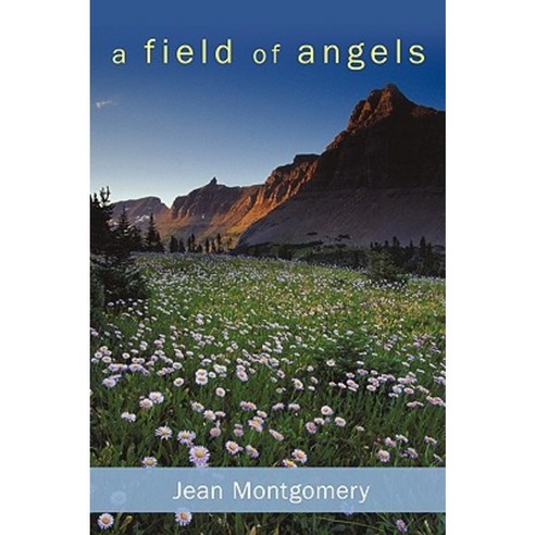 A Field of Angels Paperback, iUniverse