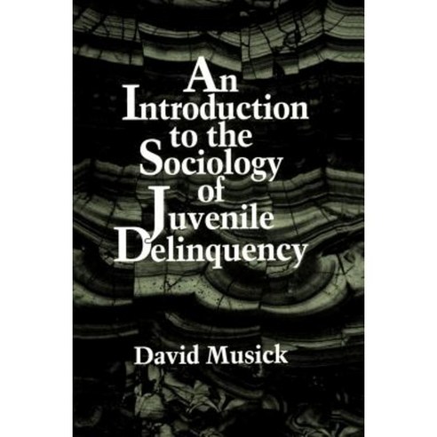 Intro Sociol Juv Delinq Paperback, State University of New York Press