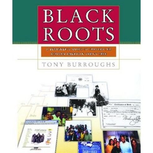 Black Roots: A Beginners Guide to Tracing the African American Family Tree Paperback, Touchstone Books