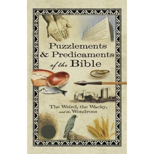 Puzzlements & Predicaments of the Bible: The Weird the Wacky and the Wondrous Paperback, Howard Books