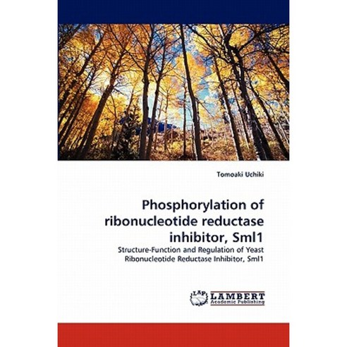 Phosphorylation of Ribonucleotide Reductase Inhibitor Sml1 Paperback, LAP Lambert Academic Publishing