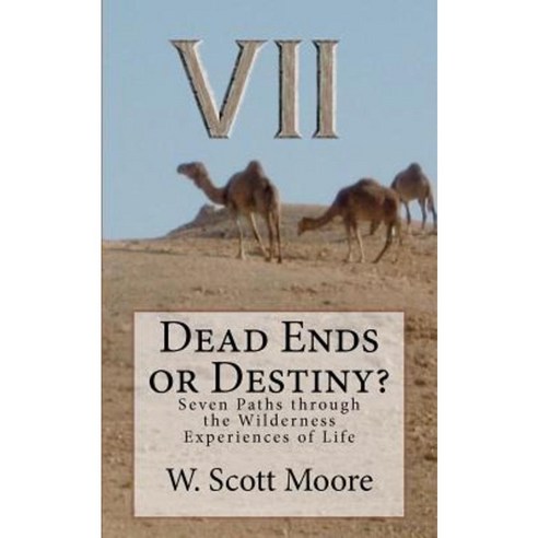 Dead Ends or Destiny?: Seven Paths Through the Wilderness Experiences of Life Paperback, Eleos Press