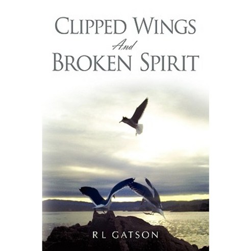 Clipped Wings and Broken Spirit Paperback, Xlibris Corporation