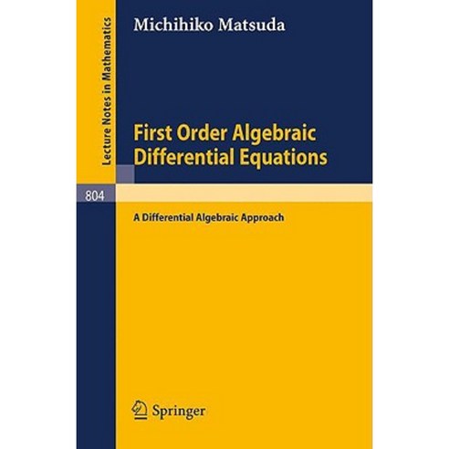 First Order Algebraic Differential Equations: A Differential Algebraic Approach Paperback, Springer