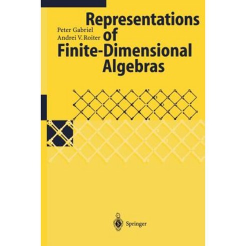 Representations of Finite-Dimensional Algebras Paperback, Springer