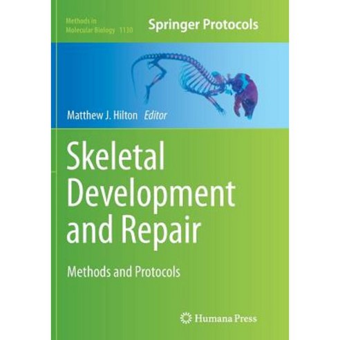 Skeletal Development and Repair: Methods and Protocols Paperback, Humana Press
