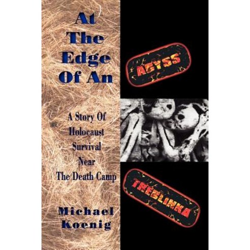 At the Edge of an Abyss Paperback, Mazo Publishers