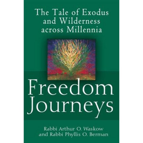 Freedom Journeys: The Tale of Exodus and Wilderness Across Millennia Paperback, Jewish Lights Publishing