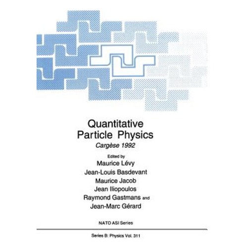 Quantitative Particle Physics: Cargese 1992 Paperback, Springer