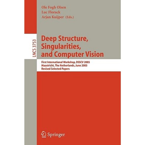 Deep Structure Singularities and Computer Vision Paperback, Springer