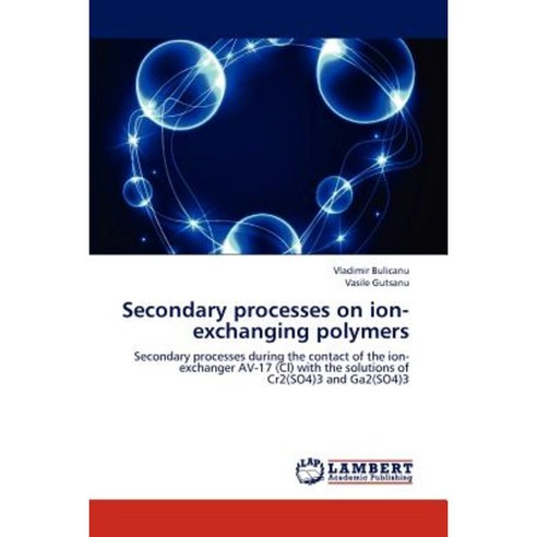 Secondary Processes on Ion-Exchanging Polymers Paperback, LAP Lambert Academic Publishing