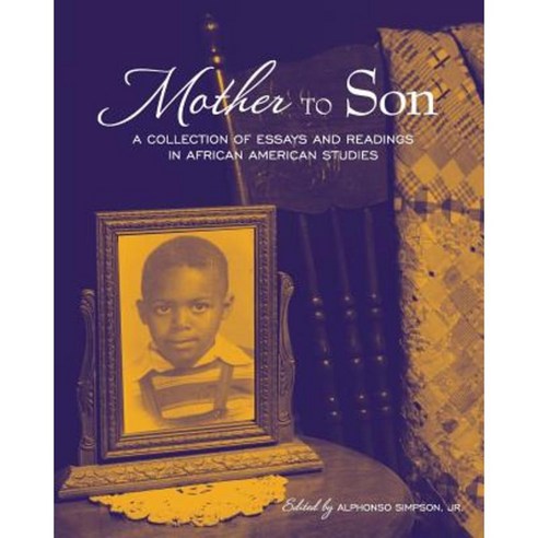 mother to son a collection of essays and readings in african american studies