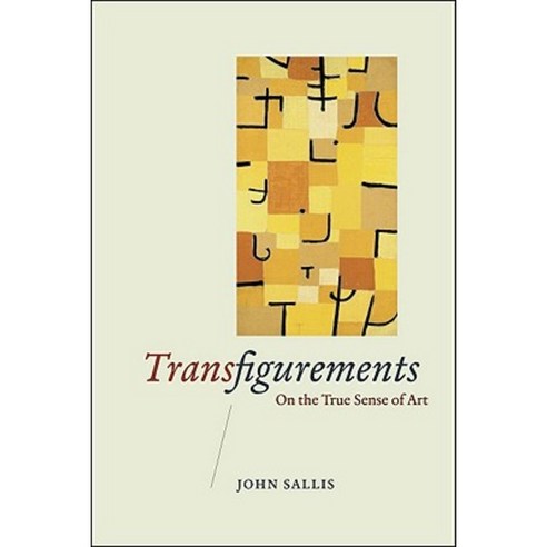 Transfigurements: On the True Sense of Art Paperback, University of Chicago Press