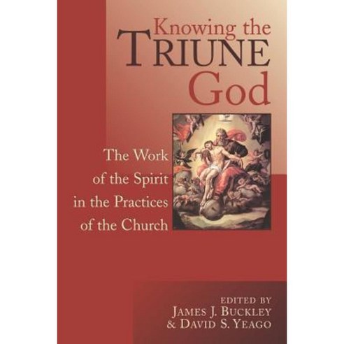 Knowing the Triune God: The Work of the Spirit in the Practices of the Church Paperback, William B. Eerdmans Publishing Company