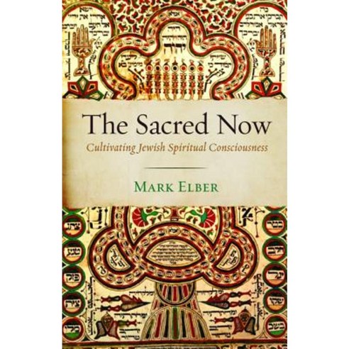 The Sacred Now Paperback, Wipf & Stock Publishers