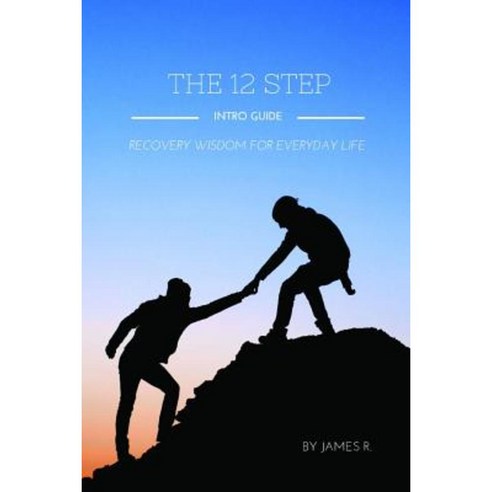 The 12 Step Intro Guide (Recovery Wisdom for Everyday Life) Paperback, Lulu.com