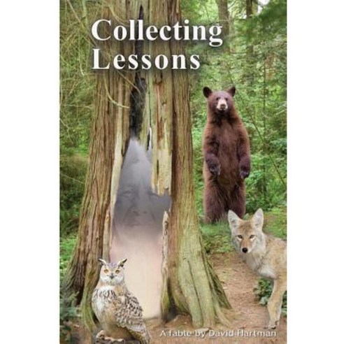 Collecting Lessons: A Fable Paperback, Wellness Press