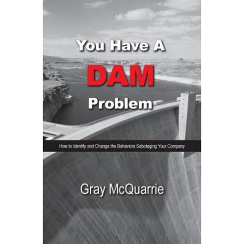 You Have a Dam Problem Paperback, Bound Publishing