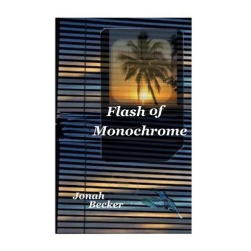 Flash of Monochrome Paperback, Createspace