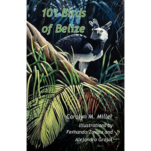 101 Birds of Belize Paperback, Produccicones de La Hamaca