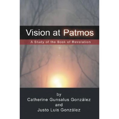 Vision at Patmos: A Study of the Book of Revelation Paperback, Wipf & Stock Publishers
