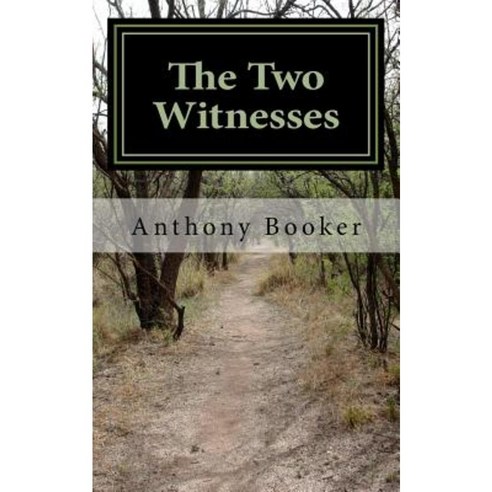 The Two Witnesses Paperback, Createspace Independent Publishing Platform