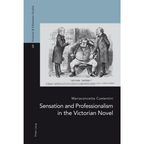 Sensation and Professionalism in the Victorian Novel Paperback, Peter Lang Gmbh, Internationaler Verlag Der W