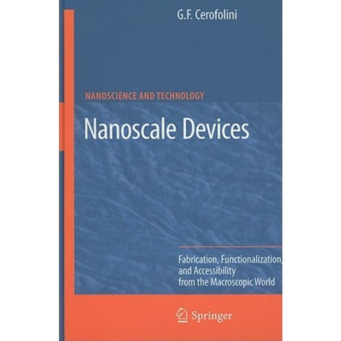 Nanoscale Devices: Fabrication Functionalization and Accessibility from the Macroscopic World Hardcover, Springer