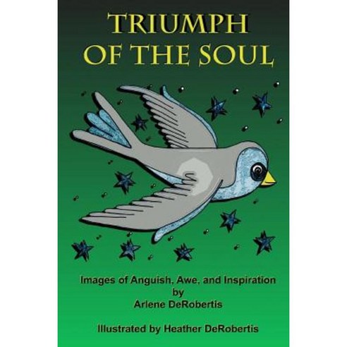 Triumph of the Soul Paperback, Createspace Independent Publishing Platform