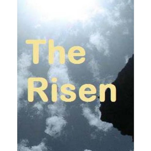 The Risen: Channeled Material Paperback, Createspace Independent Publishing Platform