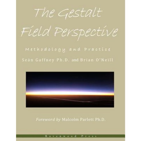 The Gestalt Field Perspective: Methodology and Practice Paperback, Createspace Independent Publishing Platform