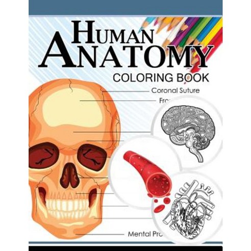 Human Anatomy Coloring Book: Anatomy & Physiology Coloring Book 3rd Edtion Paperback, Createspace Independent Publishing Platform