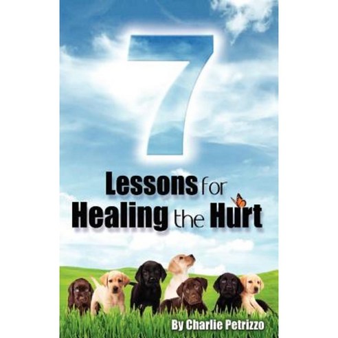 7 Lessons for Healing the Hurt Paperback, Createspace Independent Publishing Platform