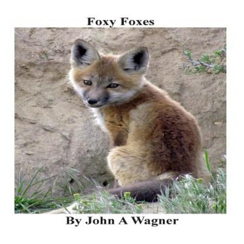 Foxy Foxes Paperback, Createspace Independent Publishing Platform