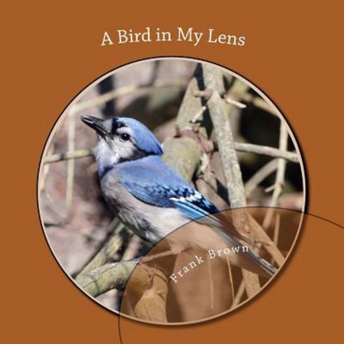 A Bird in My Lens Paperback, Createspace Independent Publishing Platform