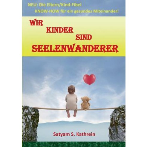 Wir Kinder Sind Seelenwanderer Paperback, Books on Demand