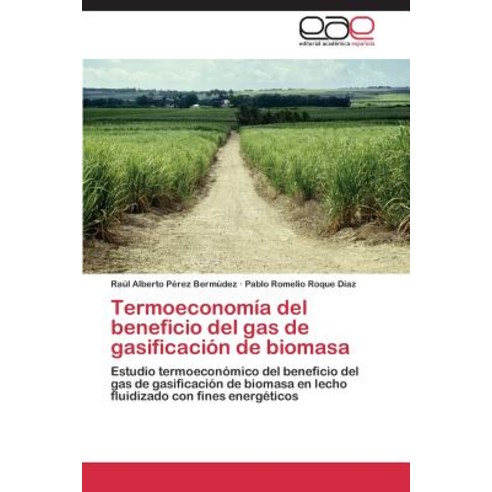 Termoeconomia del Beneficio del Gas de Gasificacion de Biomasa Paperback, Eae Editorial Academia Espanola