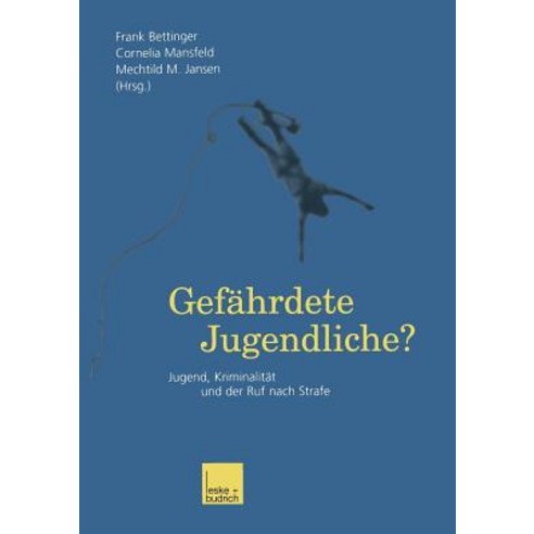 Gefahrdete Jugendliche?: Jugend Kriminalitat Und Der Ruf Nach Strafe Paperback, Vs Verlag Fur Sozialwissenschaften