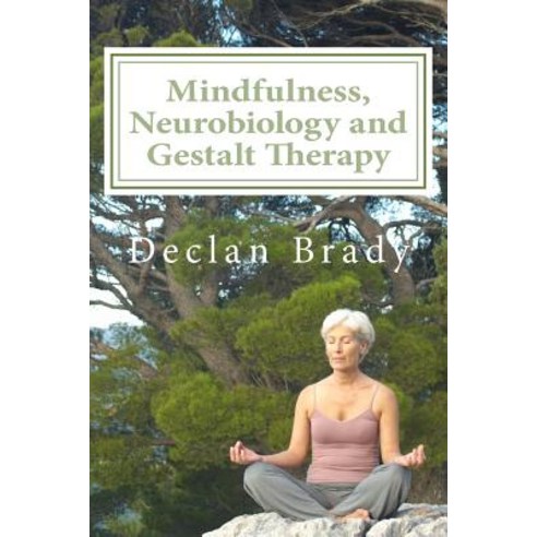 Mindfulness Neurobiology and Gestalt Therapy Paperback, Createspace