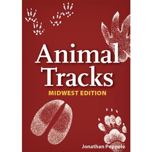 Animal Tracks of the Midwest Playing Cards Other, Adventure Publications