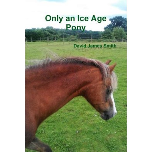 Only an Ice Age Pony Paperback, Lulu.com