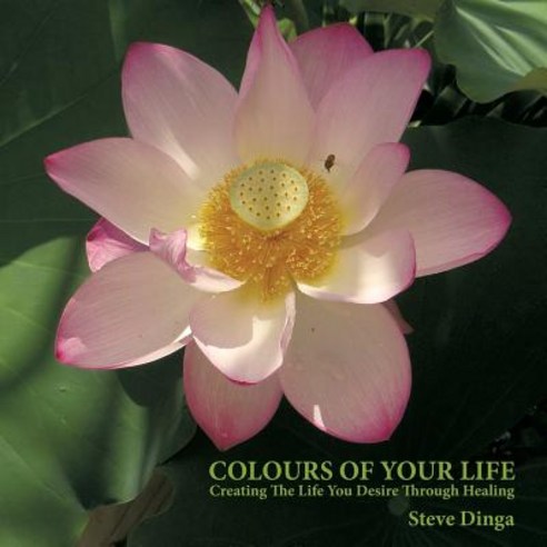 Colours of Your Life: Creating the Life You Desire Through Healing Paperback, Balboa Press