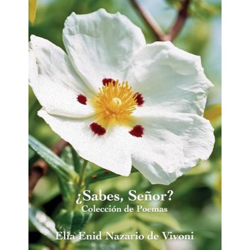 Sabes Senor? Paperback, Foundations Publishing
