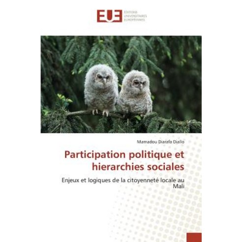 Participation Politique Et Hierarchies Sociales Paperback, Univ Europeenne