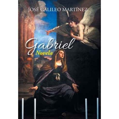 Gabriel: Novela Hardcover, Palibrio
