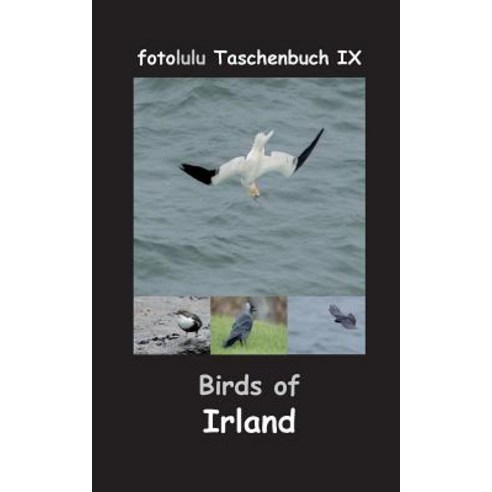 Birds of Irland Paperback, Books on Demand