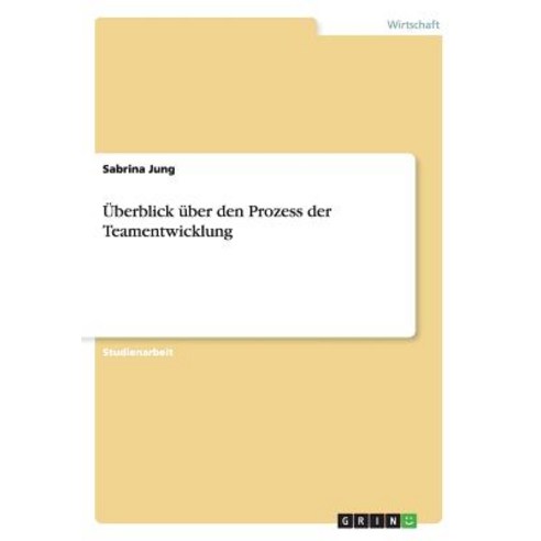 Uberblick Uber Den Prozess Der Teamentwicklung Paperback, Grin Publishing