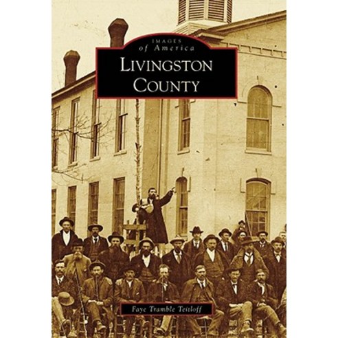 Livingston County Paperback, Arcadia Publishing (SC)
